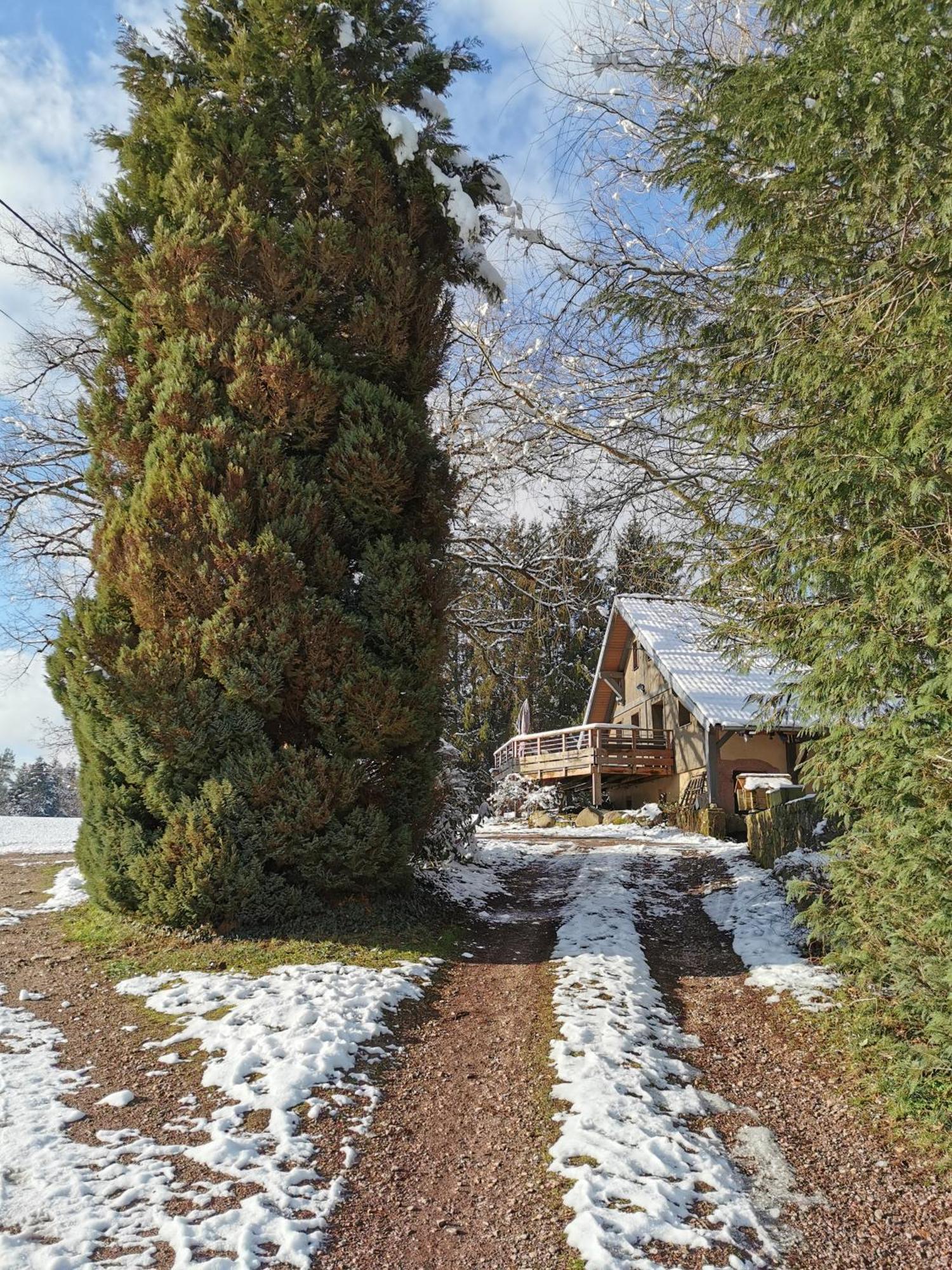 Gite De La Bourbatte Gerbamont Exterior photo